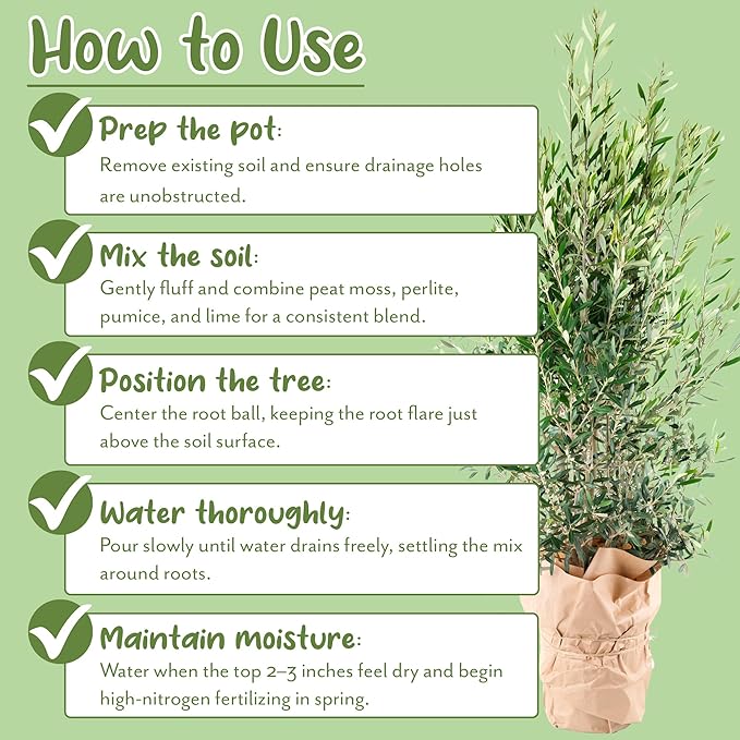 Soil Sunrise Olive Tree Potting Soil Mix (12 Quarts) for Planting, Repotting, and Growing Olive Bushes/Plants