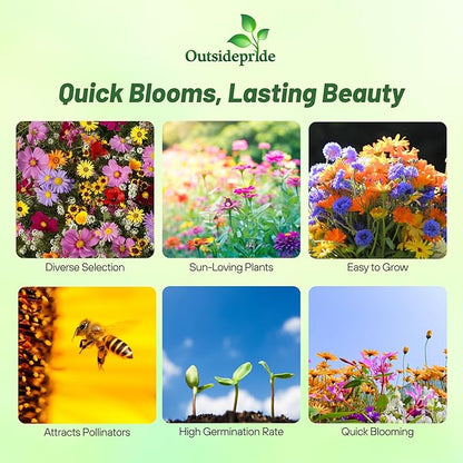 Outsidepride Annual Sun Wild Flower Seed Mix - 1 lb Premium Blend of Annual Wildflower Seeds for Sunny Locations, Vibrant & Easy-to-Grow, Attracts Pollinators, Ideal for Home Gardens & Floral Displays