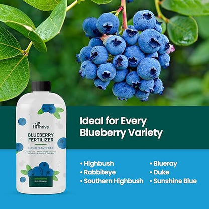32oz Blueberry Fertilizer - Makes 32 Gallons of Fruit Tree Fertilizer for Blueberries, Liquid Plant Food for Sweet, Plump Blueberry Plants, Instant Plant Food That Promotes Growth & Abundant Harvests
