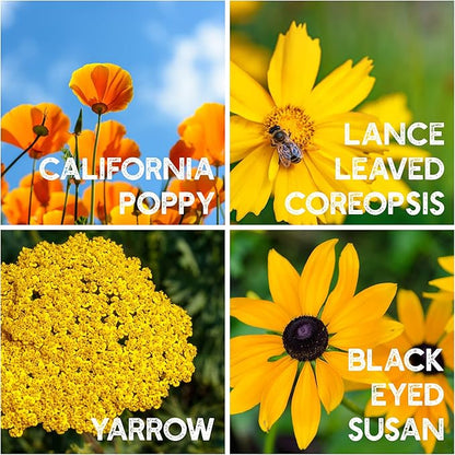 All Annual Wildflower Seeds Mix – 1 lb, 16,000+ Seeds – 21 Flower Varieties Including Poppy, Indian Blanket, Flax – Attracts Pollinators – Bulk Wildflower Seed for Planting