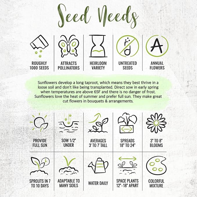 Seed Needs Sunflower Seeds for Planting The Original Crazy Blend | 1 Ounce 15+ Heirloom Varieties Open Pollinated & Untreated | Resealable Bulk Package Multicolored Blooms Flower Seeds