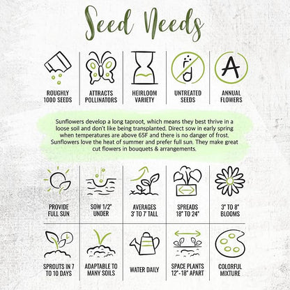 Seed Needs Sunflower Seeds for Planting The Original Crazy Blend | 1 Ounce 15+ Heirloom Varieties Open Pollinated & Untreated | Resealable Bulk Package Multicolored Blooms Flower Seeds