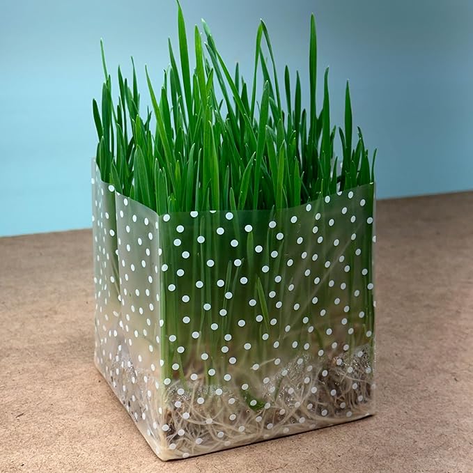 Organic Cat Grass Kit 3 Pack - Polkadot Grow Bags for Indoor Cats | Non GMO Mixed Heirloom Seeds | Wheatgrass - Oat Grass - Barley Grass Blend