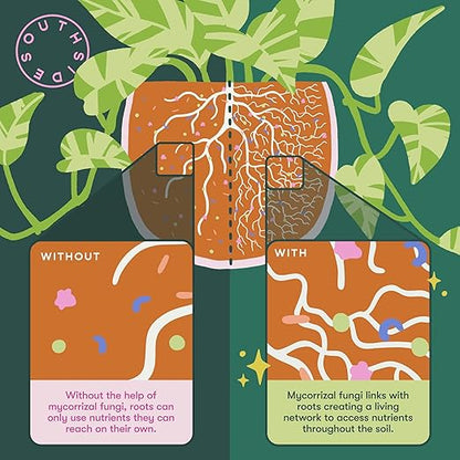 Leafy Plant Food with Mycorrhizal Fungi - Use Year-Round - Makes 200 Liters Gentle Houseplant Fertilizer for Indoor Potted Plants