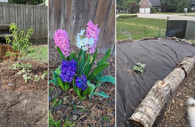 50 QT Professional Grade Horticultural Organic Vermiculite and Perlite (Vermiculite, 50 QT)