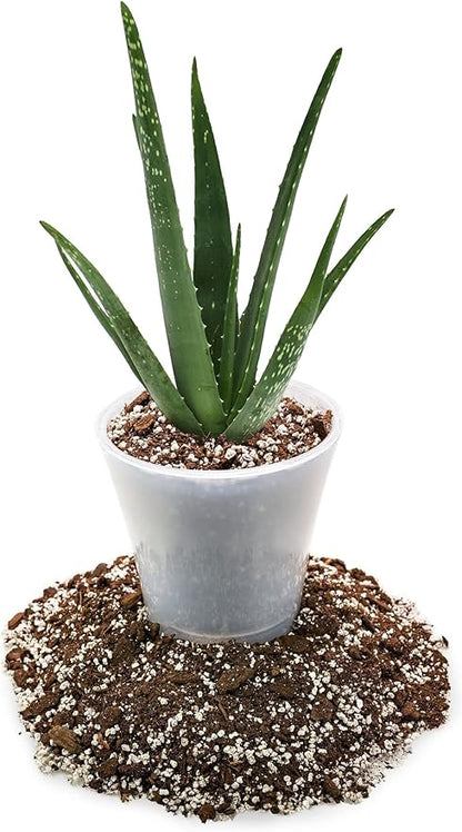 GARDENERA Premium Aloe Vera Potting Soil Mix - (5 Quart Bag)