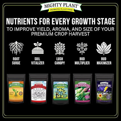 Flowering Bloom Booster Plant Enhancer – Arginine-Powered Growth Formula for Explosive Bloom & Fruit Set | Prime2Bud Ideal for Garden Flowers & Fruit-Bearing Vegetables (1, Pounds)