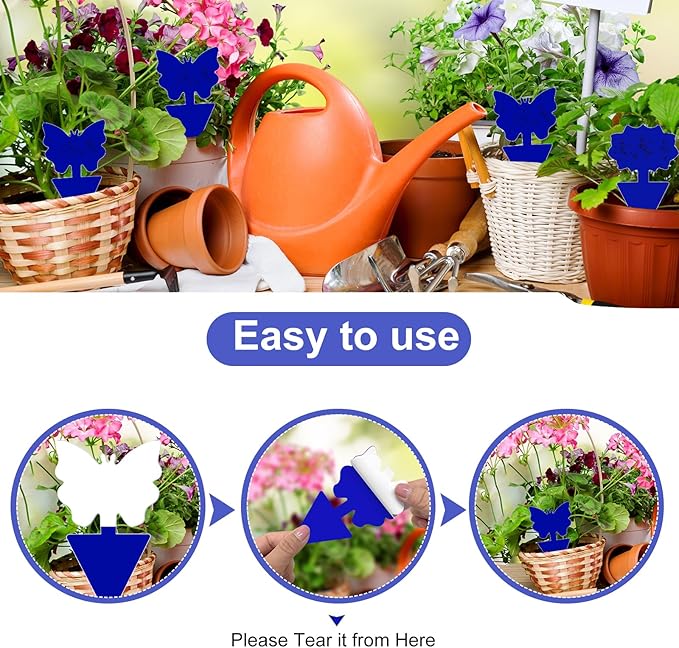 Fruit Fly Traps, 100 Pack Blue Sticky Traps, Fungus Gnat Traps, Plant Fly Stickers for Indoor and Outdoor Use Protect The Plant