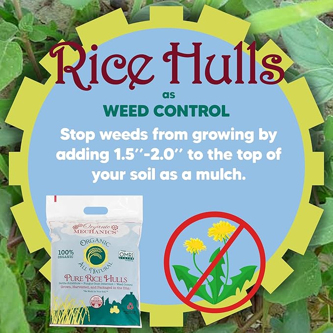 Organic Mechanics Pure Rice Hulls, 8 qt - Sustainable Alternative to Perlite - Enhances Drainage, Porosity and Air Space - Eco-Friendly