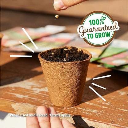 Back to The Roots 100% Organic Seed Packet - Cucumber 'Spacemaster' 1.5g