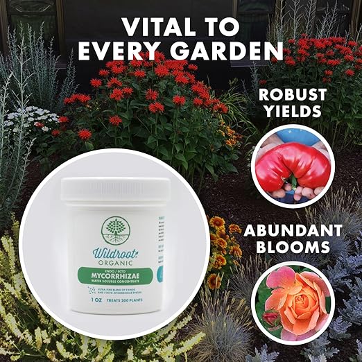 Organic 5 oz Mycorrhizae 16 Species Inoculant Treats 6,000 4-Inch Plants. Explodes Root Growth, Saves Water. Allow Your Plants, Garden and Trees to Thrive!