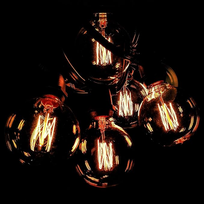 Hometown Evolution, Inc. Commercial Edison Bulb Outdoor String Lights with Hand-Threaded Filament (G60 Lantern Edison - Commercial Black Wire, 50 ft)