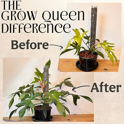 Organic Plant Food, Indoor Plant Food for Houseplants & Aroids, Organic Fertilizer for Flower & Vegetable Gardens, 1lb = 25 Servings, Feeds 50 gal Instantly and Slow Release