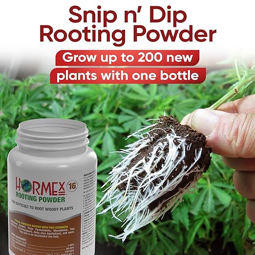 Hormex Rooting Powder #16, Grow Cubes & Shears Combo - Rooting Hormone for Difficult Hardwood Plants, Tree Cuttings | Root Starter Cubes for Cloning Plants | Precision Straight-Blade Shears (50 Plugs)