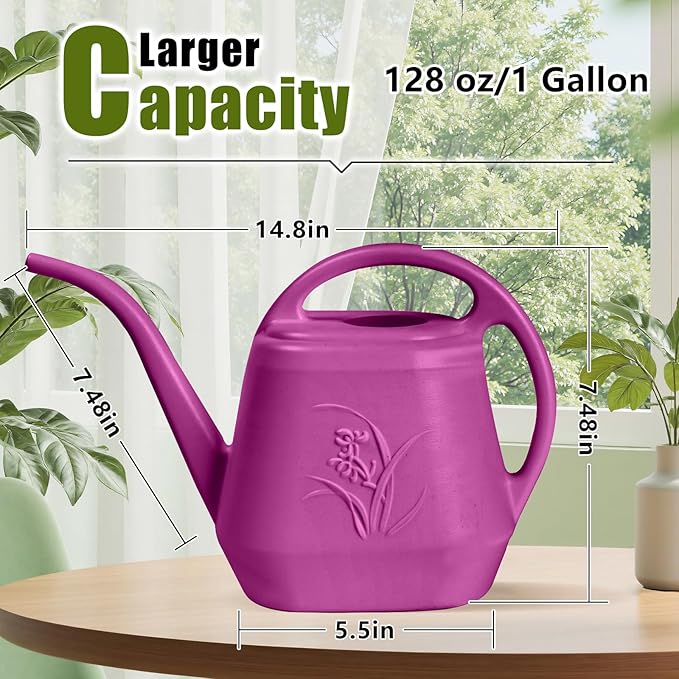 Plant Watering Can - 1/2 Gallon - Rose Red