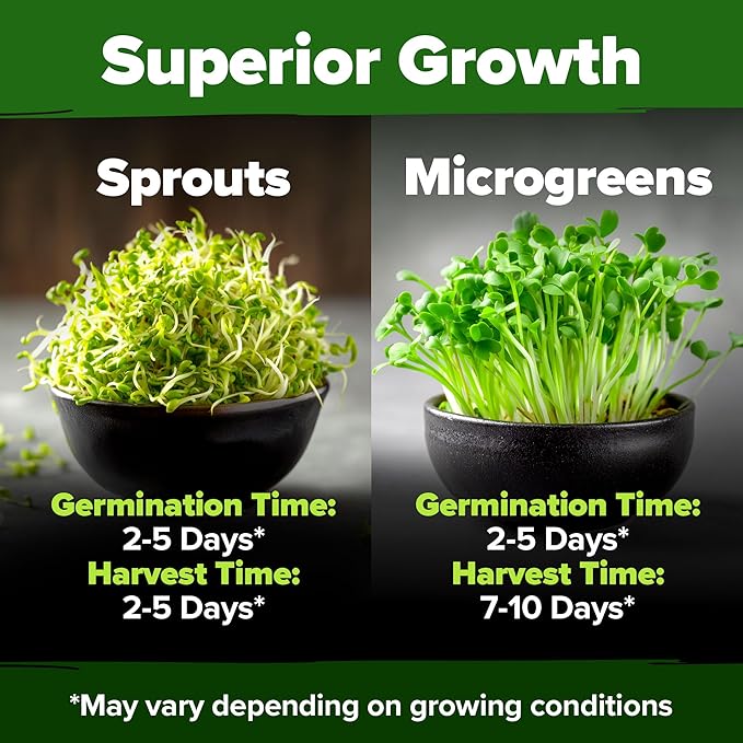 HOME GROWN Non GMO Alfalfa Sprout Seeds 16oz Bulk Pack with Thousands of Seeds Alfalfa for Sprouting & Microgreens Indoor Outdoor Growing Resealable Bag High Germination