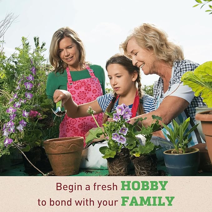 Garden Trends - Ornamental Corn Seeds - Bloody Butcher Variety - Non-GMO Vegetable for Outdoor Planting Home Garden - Blood Red Kernel Color - 100 Seeds