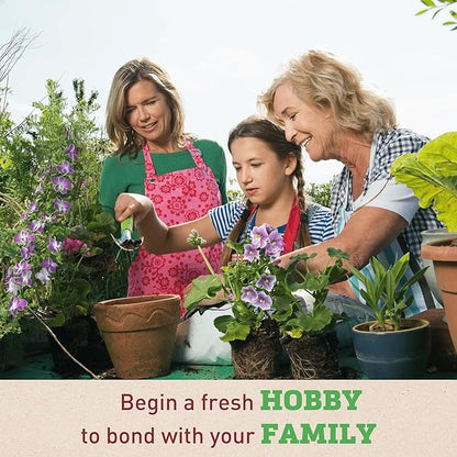 Garden Trends - Ornamental Corn Seeds - Bloody Butcher Variety - Non-GMO Vegetable for Outdoor Planting Home Garden - Blood Red Kernel Color - 100 Seeds