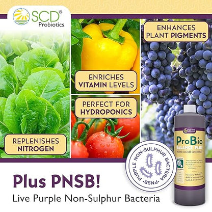 ProBio Balance Plus - Make 20X More Soil Conditioner, Super Concentrate of Effective Beneficial Microorganisms & PNSB Phototrophs - OMRI Listed for Organic Farm Lawn Garden - 1 Liter (4 Pack)