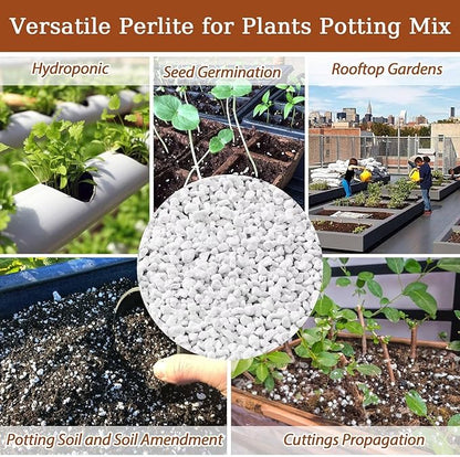 Riare 4 Quarts Organic Perlite for Plants - Horticultural Perlite Soil Amendment for Plants Potting Mix, Natural Chunky Perlite Soil Additive Conditioner Improve Root Growth, Drainage and Ventilation