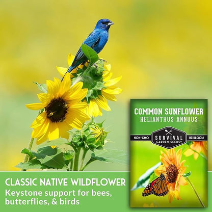 Survival Garden Seeds - Common Sunflower (Helianthus annuus) Seeds for Planting | Giant Bird & Pollinator Magnet | Fast-Growing Native Wildflower - 1 Pack