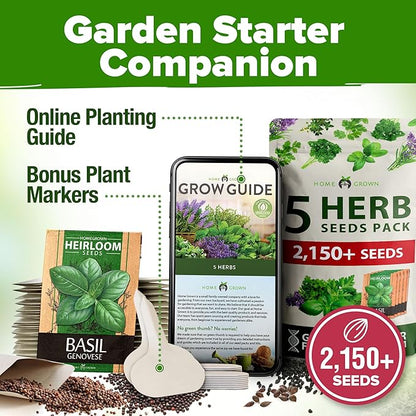HOME GROWN 5 Herb Seeds for Planting 2,150+ Non-GMO Heirloom Seeds | Extra Large Variety Pack Herb Kit – Indoor Outdoor & Hydroponic | Culinary Seed Set | Grow Your Own Herbs | Gift for Beginners
