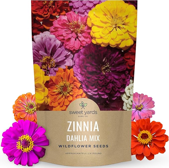 Zinnia Dahlia Mix - Bulk 1/4 Pound Pouch - 15,000 Flower Seeds for Planting - Zinnia elegans