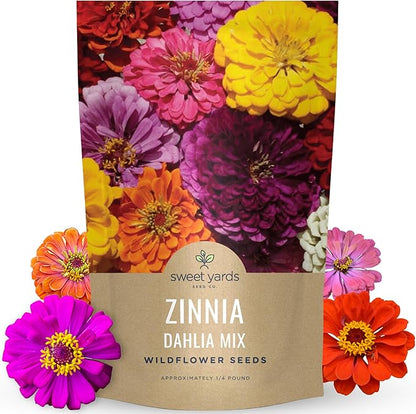 Zinnia Dahlia Mix - Bulk 1/4 Pound Pouch - 15,000 Flower Seeds for Planting - Zinnia elegans