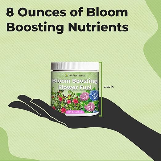 Advanced Bloom Booster Flower Fuel by Perfect Plants | Water Soluble & High Nutrient Fertilizer for Beautiful Flowers and Fruit Such as Rose, Blueberry, Plumeria, and Hydrangea (226 Grams)