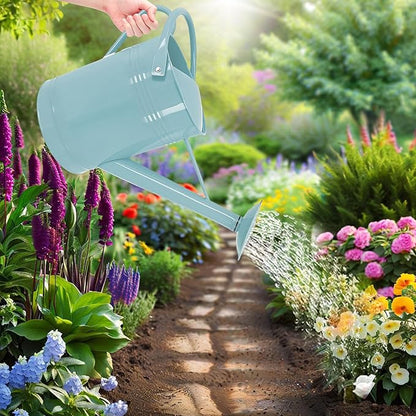 2 Gallon Metal Watering Can for Outdoor Indoor Garden Plants, Galvanized Watering Can with Removable Spout, Garden Watering Pot for Flowers, Plants & Lawns (Light Blue)