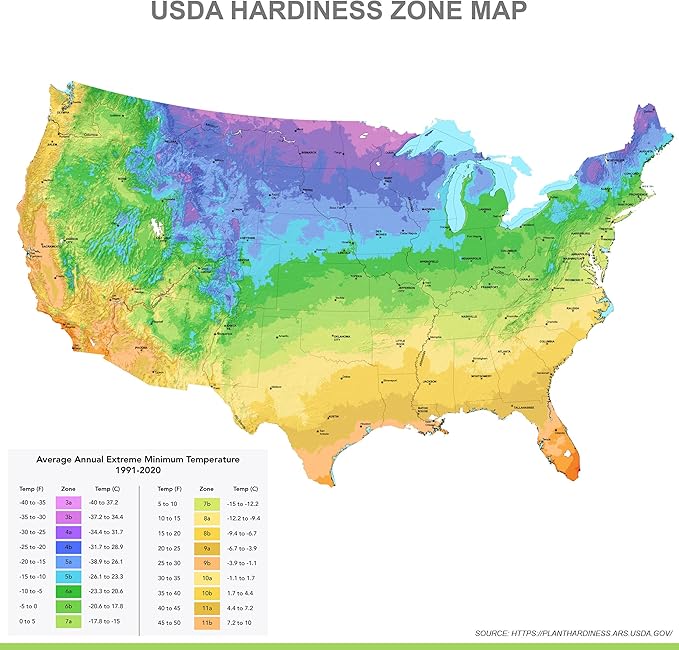 Garden State Bulb Bright Sunshine Mix Single Late Tulip Flower Bulbs, 12/+ cm, Fall Planting (Bag of 250)