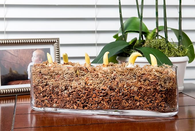 SuperMoss (23112) Orchid Potting Bark, 100% Natural Douglas Fir Bark, 3/4", 2 Cu. Ft.