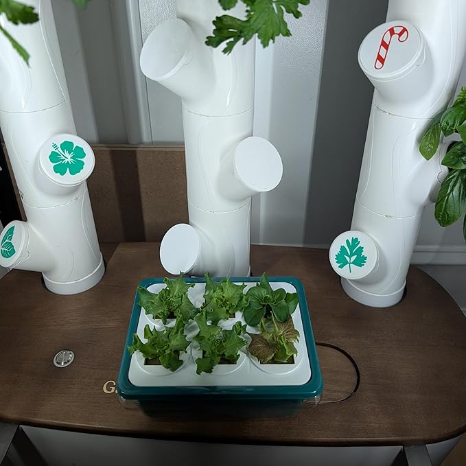 Grow Cubes for Hydroponic System/Grow Cubes Compatible with Gardyn (Seed Starter Nursery)