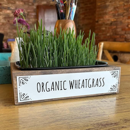 Whetagrass Kits (Wheatgrass Grow Kit - Custom Box)