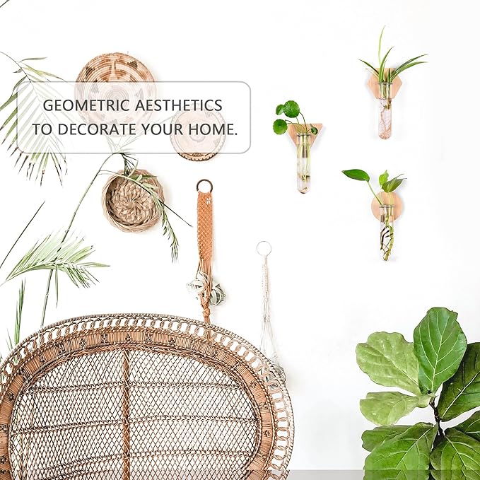 MITIME Wall Hanging Planter Glass Plant Propagation Station,Geometric Wooden Stand for Home Office Decoration.