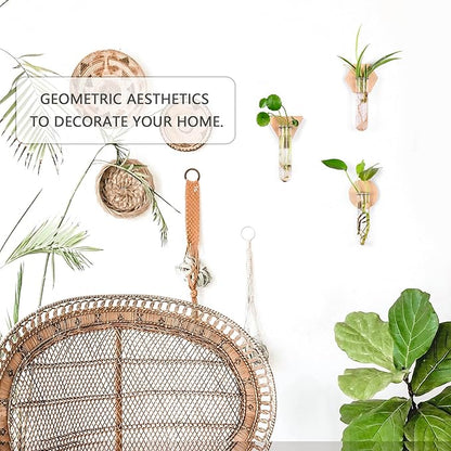 MITIME Wall Hanging Planter Glass Plant Propagation Station,Geometric Wooden Stand for Home Office Decoration.