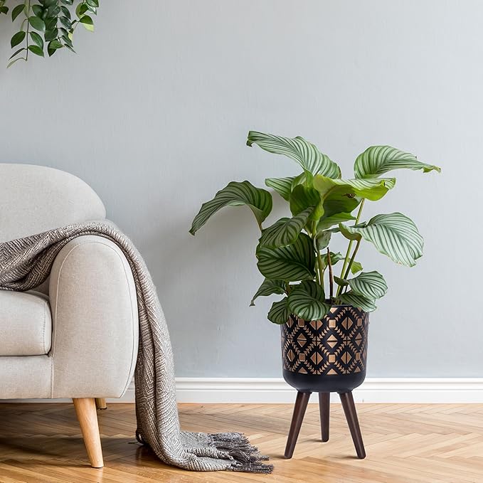 D'vine Dev 10 Inch Planter Pot with Stand, Mid-Century Tall Plant Pot with Legs for Indoor Plants, Bronze/Black, 88-G-B-6