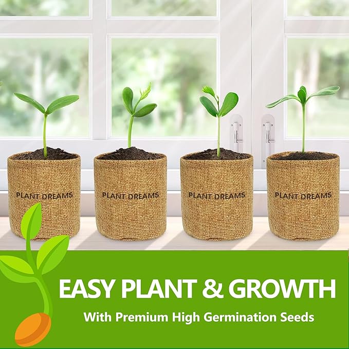 Bonsai Tree Kit, Bonsai Starter Kit with Seeds & Tools, Tree Live Plants Indoor, Gardening Gifts for Women Men Mom Father Plant Lover, Birthday Thanksgiving