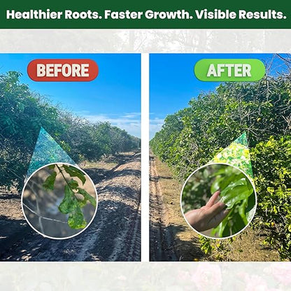 Concentrated Liquid Enzyme-Based Organic Fertilizer(8.45oz) Organic Plant Food & Gardening Fertilizer-Enhances Root Development Ideal for Indoor & Outdoor Plants & Vegetables(1-0-1)