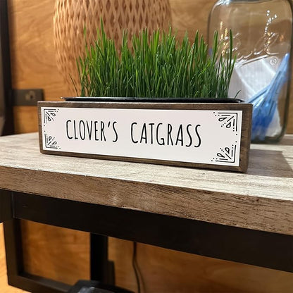 Whetagrass Kits (Wheatgrass Grow Kit - Custom Box)