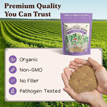 Seedboy Organic Non-GMO Alfalfa Seeds for Sprouting - Microgreens Sprouting Seeds - 8 oz Bag Makes 8 Quarts / 24 Servings (Alfalfa)