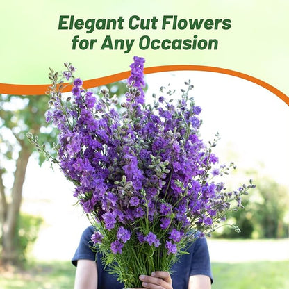 Outsidepride Delphinium Lilac Larkspur Seeds for Planting Outdoors - 2000 Pcs Annual, Self-Seeding, Heat & Drought Tolerant Wildflower Seed, Colorful Blooms for Flower Arrangement & Pollinator Garden
