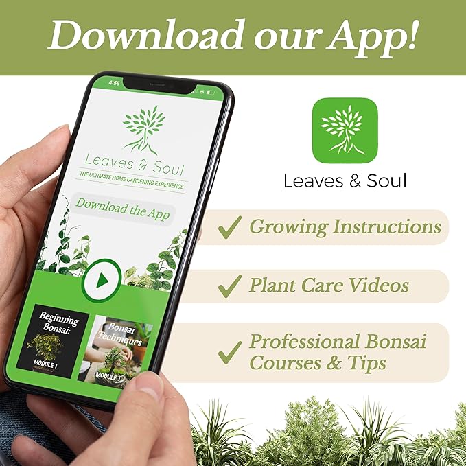 Large Bag Houseplant Fiddle Leaf Fig Soil Premium All Purpose Blend | Ready to Use for Indoor Houseplants | Peat, Sawdust, Course Sand and Pinebark | Extra Large 8.2 Quarts | Made in USA