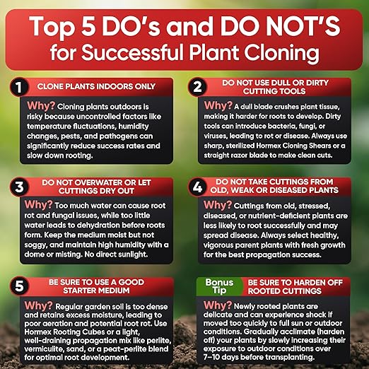 Hormex Rooting Hormone #1 - Rooting Powder for Delicate Houseplants, Succulents & Herb Cuttings | Promotes New Root Growth for Easy Propagation (0.1% IBA)