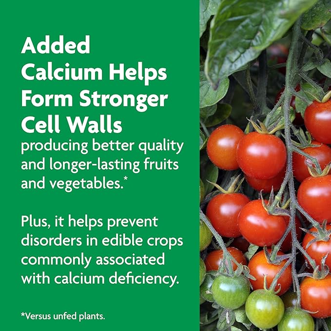 Miracle-Gro Shake 'N Feed Tomato, Fruit and Vegetable Plant Food, For In-Ground and Container Plants, Feeds up to 3 Months, 1 lb.