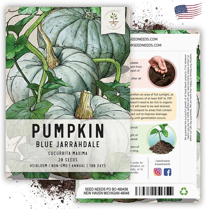 Seed Needs Pumpkin Seeds for Planting Blue Jarrahdale Pumpkins - Non-GMO Heirloom & Untreated Cucurbita Maxima Seed to Plant an Outdoor Home Grown Vegetable Garden (1 Pack)