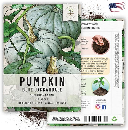 Seed Needs Pumpkin Seeds for Planting Blue Jarrahdale Pumpkins - Non-GMO Heirloom & Untreated Cucurbita Maxima Seed to Plant an Outdoor Home Grown Vegetable Garden (5 Packs)