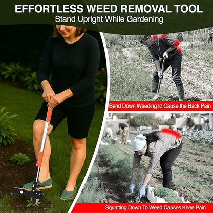 Manual Stand Up Weed Puller Tool with Long Handle | Heavy Duty 4-Claw Steel Head Weeder for Root Removal | Ergonomic Weeding Tool for Dandelion, Lawn, Yard & Garden Maintenance
