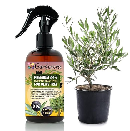 Gardenera Professional Olive Tree Spray Fertilizer Mist for Home Gardening | 3-1-2 Gentle Blend Mist for Healthy Leaves & Growth | Essential Nutrients for Olive Trees - 8oz