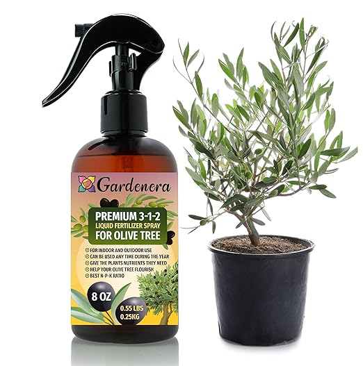 Gardenera Professional Olive Tree Spray Fertilizer Mist for Home Gardening | 3-1-2 Gentle Blend Mist for Healthy Leaves & Growth | Essential Nutrients for Olive Trees - 8oz